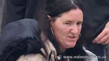 Grandmother hurled missiles at police as she 'jumped on bandwagon' during Ely riots