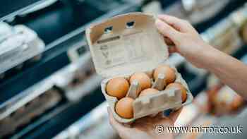 Shoppers urged to check eggs for 1 important detail before buying them