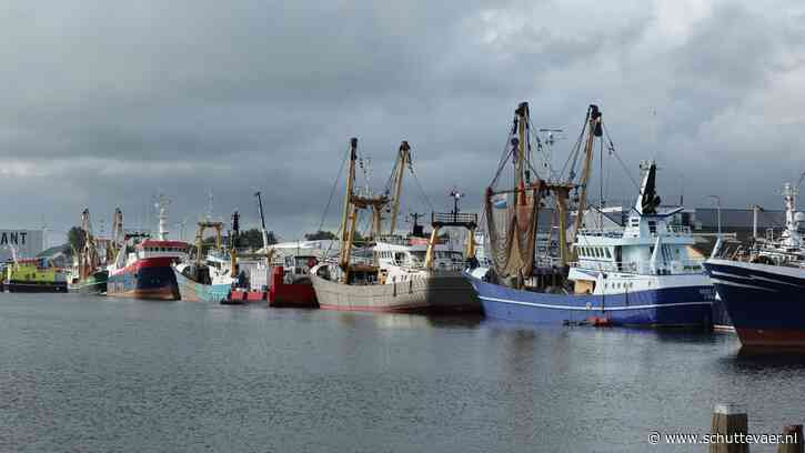 Grote drukte bij Padmos en Damen in Stellendam