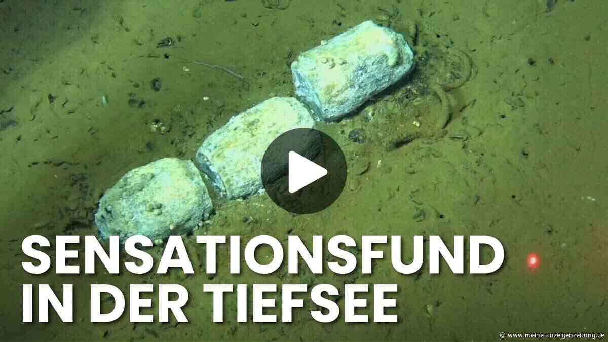 Tiefsee-Video zeigt größten Walfriedhof der Welt – Rekord gebrochen