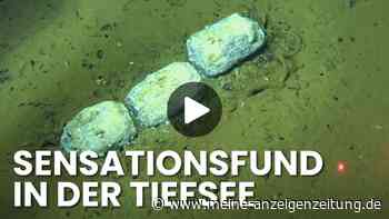 Tiefsee-Video zeigt größten Walfriedhof der Welt – Rekord gebrochen