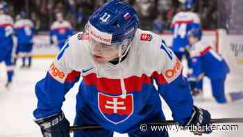 Spitfires Sign 2025 CHL Import Pick & Red Wings’ Prospect Michal Svrcek