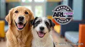Poll: The best pet boarding in Arlington
