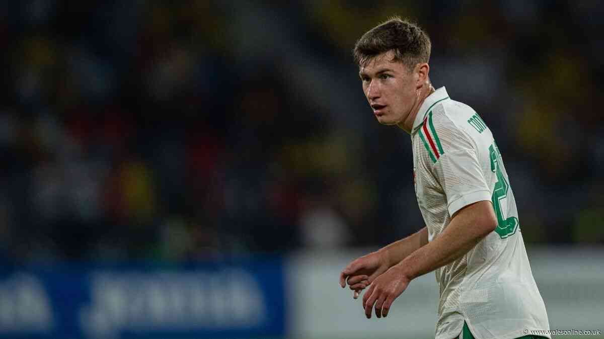 New Swansea City faces you could be seeing a lot more of next season