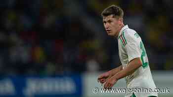 New Swansea City faces you could be seeing a lot more of next season