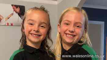 Young sisters praised for brave response after grandad fell
