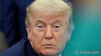 Trump dismisses 'fake' leaked Iran deal terms