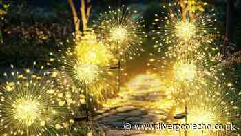 Starburst solar lights look 'so beautiful' in garden 'my friend now wants some'