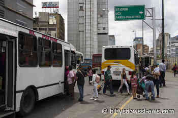 INTT simplifica trámites de permisos para transporte público: estos son los requisitos