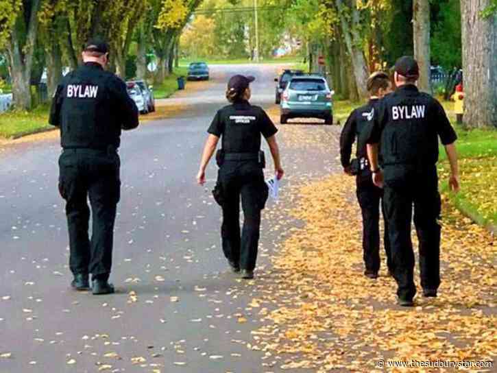 Calls to Greater Sudbury’s bylaw department have tripled since COVID