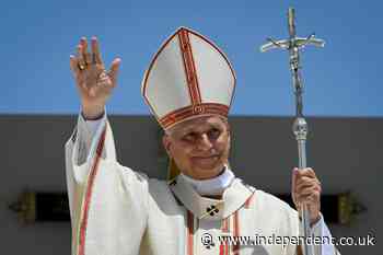Pope Leo’s flight home to Rome delayed after plane suffers technical issue