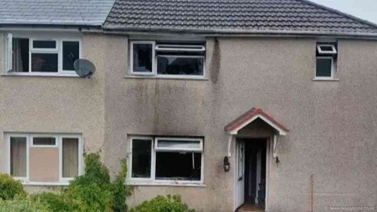 Major police update after two homes in quiet community targeted in alleged petrol bombings