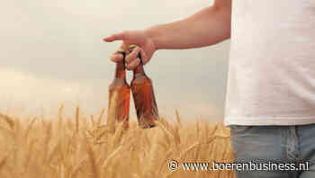 Kleine bierconsumptie nadelig gerstteler Farmplus
