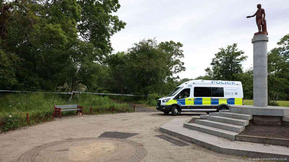 Residents say Newcastle park has become 'lawless' after dark and 'like the Bronx'