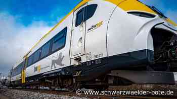 Bessere Anschlüsse im Kreis Calw: Das ändert sich jetzt bei der Hesse-Bahn