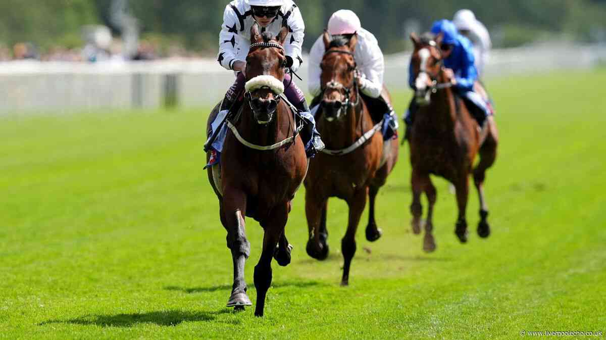 Horse Power: Red Spells Danger to win at York and Manatee Mehmas can land the Scurry Stakes at Sandown