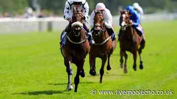 Horse Power: Red Spells Danger to win at York and Manatee Mehmas can land the Scurry Stakes at Sandown