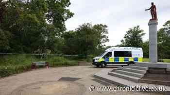 Residents say Newcastle park has become 'lawless' after dark and 'like the Bronx'