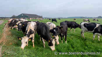 Nederlandse melkproductie loopt nu snel terug