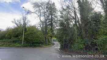 New 120-home development approved for land in Bridgend