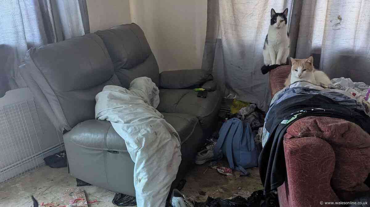 Pets left in flat so filthy and smelly it left woman's eyes stinging and nose streaming