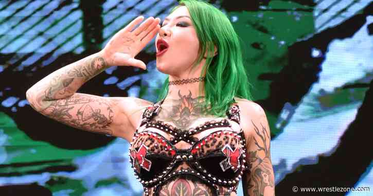 Shotzi Wants to Prove She Can Be the Face of a Wrestling Company