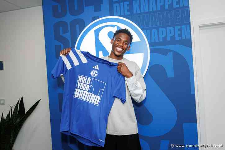 Done Deal: Nigerian Forward Joins Bundesliga Club Schalke 04