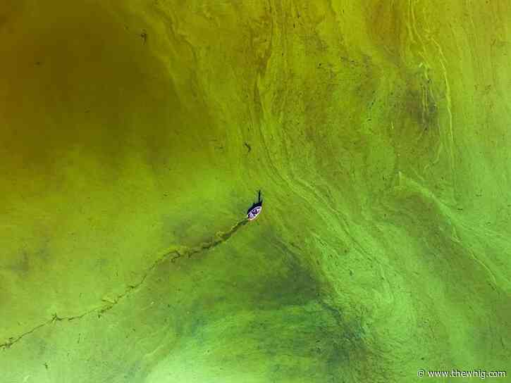 Queen’s student wins international Nature photo competition