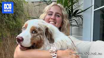 The big life lessons you've learnt since owning a pet