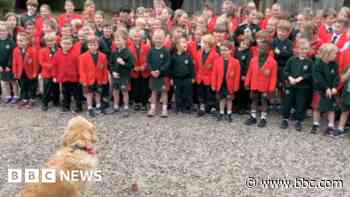 School 'blown away' by dog birthday video reaction