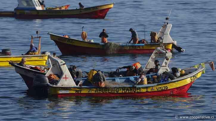 Contraloría invalidó medida de Boric que ampliaba el registro de pesca