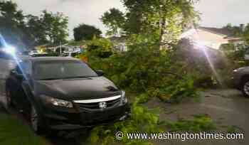 Tornadoes in Illinois and Indiana leave residents grappling with damage; cleanup efforts underway