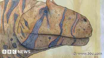 The Paleoartists bringing dinosaurs to life