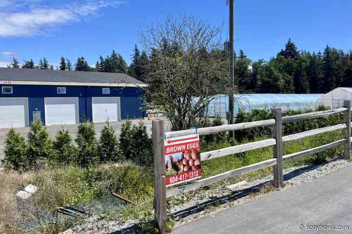 Stop-work order in effect for property connected to Surrey city councillor