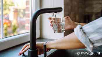 Poepbacterie aangetroffen in drinkwater regio Dordrecht, kookadvies ingevoerd