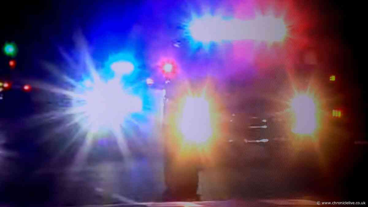 Workers find bodies of unborn babies under family home