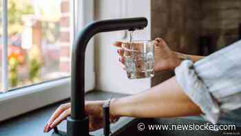 Poepbacterie aangetroffen in drinkwater regio Dordrecht, kookadvies ingevoerd
