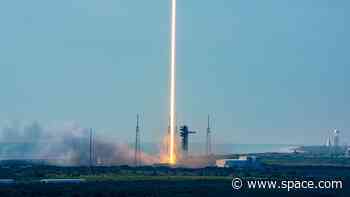 SpaceX's stock wasn't the company's only launch today — It also put 29 Starlink satellites in orbit