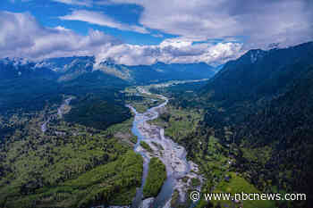 DNA technology solves 25-year-old mystery of human remains found in Olympic National Park