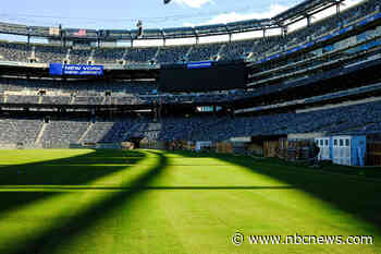 World Cup grass fields have NFL players asking why they still play on turf