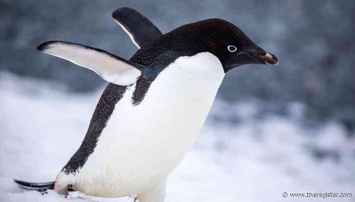 MX Linux 25.2 provides possible refuge from AI as well as systemd
