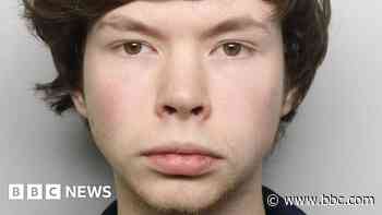 British man jailed for encouraging suicide in US