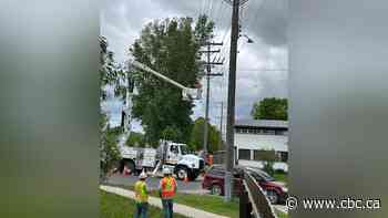 Hundreds of Windsor Park residents without power again — just hours after it was restored