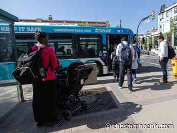 Snakes, rabbits and cats, oh my: Pets on city buses concern councillors