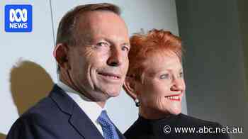 This is the moment Tony Abbott and Pauline Hanson's feud began
