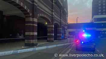 Fight breaks out in Liverpool city centre as man hit over head with walking stick