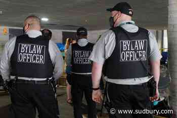 Next city council to decide on hiring two more bylaw officers