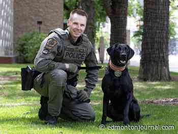 Latest batch of 34 Edmonton police grads includes two cop dogs