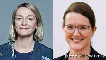 Starmer loyalist, two former Tory MPs and former civil servant dragged into Horizon scandal among those recognised in King's birthday honours