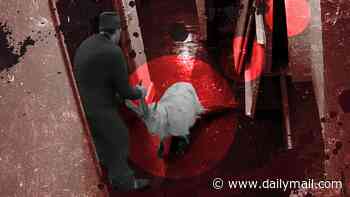 The troubling CCTV footage showing two men dragging a distressed goat into a London office... so is a satanic cult sacrificing animals in the city? FRED KELLY uncovers skulls, voodoo 'bits' and a mystery 'priest'